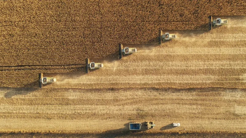 Türkiye'nin hububat ve bakliyat ihracatı 5,8 milyar dolara ulaştı