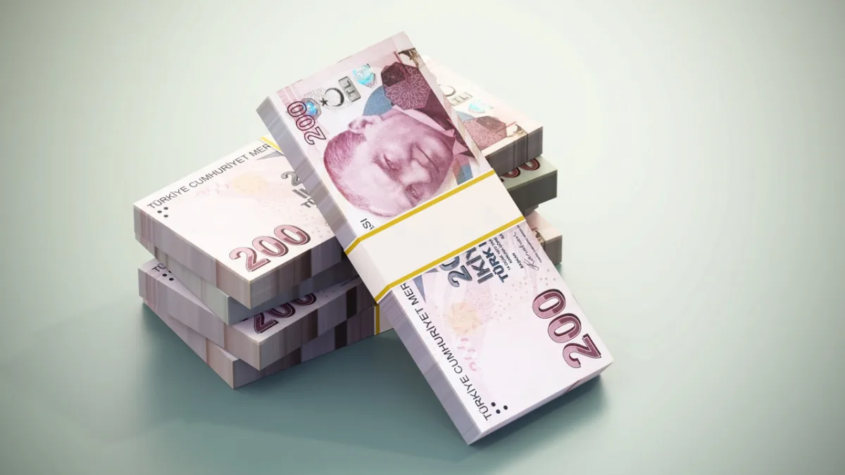 Haziran'da merkezi yönetim bütçesi 114,2 milyar TL fazla verdi
