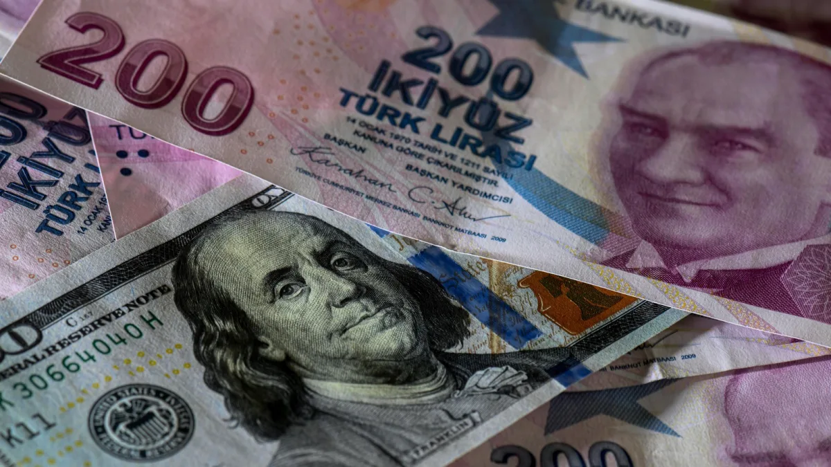 Danske Bank, Türk Lirası için döviz tahminlerini güncelledi