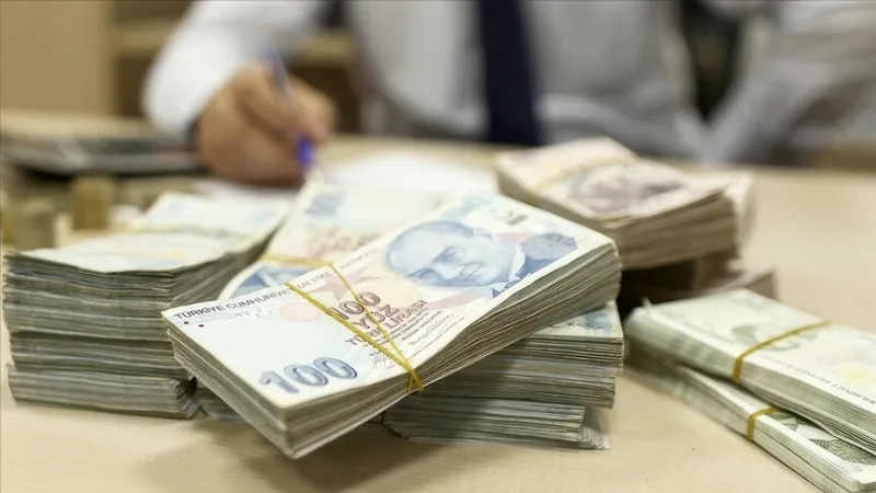 Bireysel Emeklilik Sistemi'nde birikimler 2,4 trilyon lirayı geçti