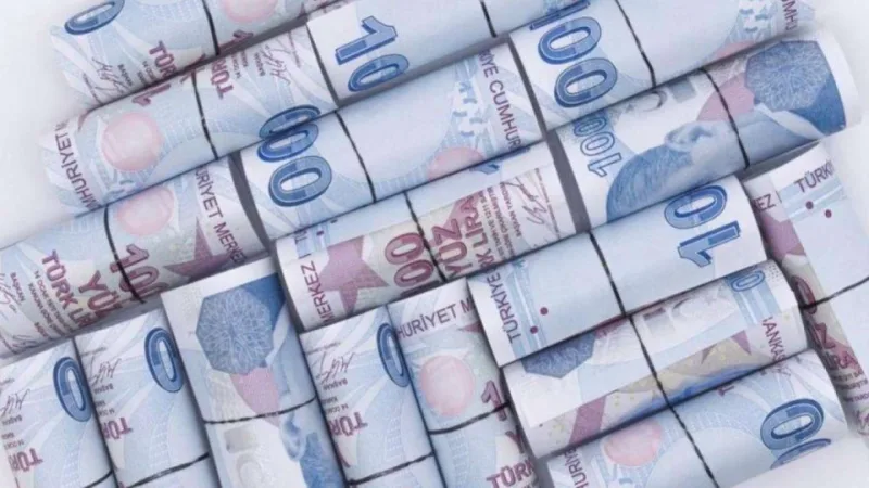 Haziran ayında Hazine nakit dengesi 50,8 milyar TL fazla kaydetti