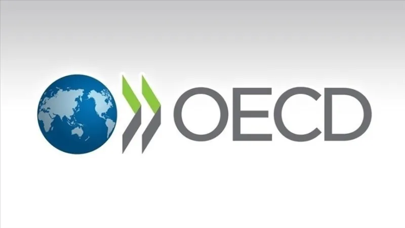 OECD Raporu: İş Gücü Piyasasında Dayanıklılık Sürse de Zayıflama Belirtileri Var